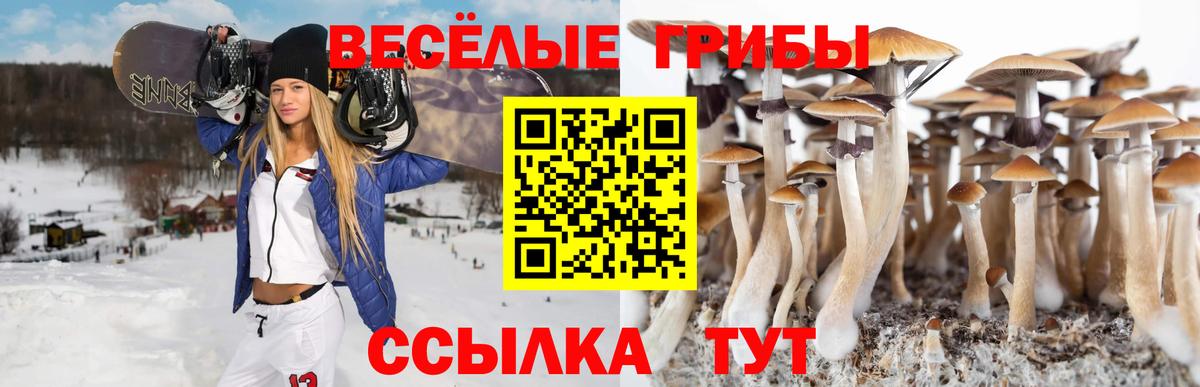 Псилоцибиновые грибы GOLDEN TEACHER  Вход с VPN  Усть-Джегута 