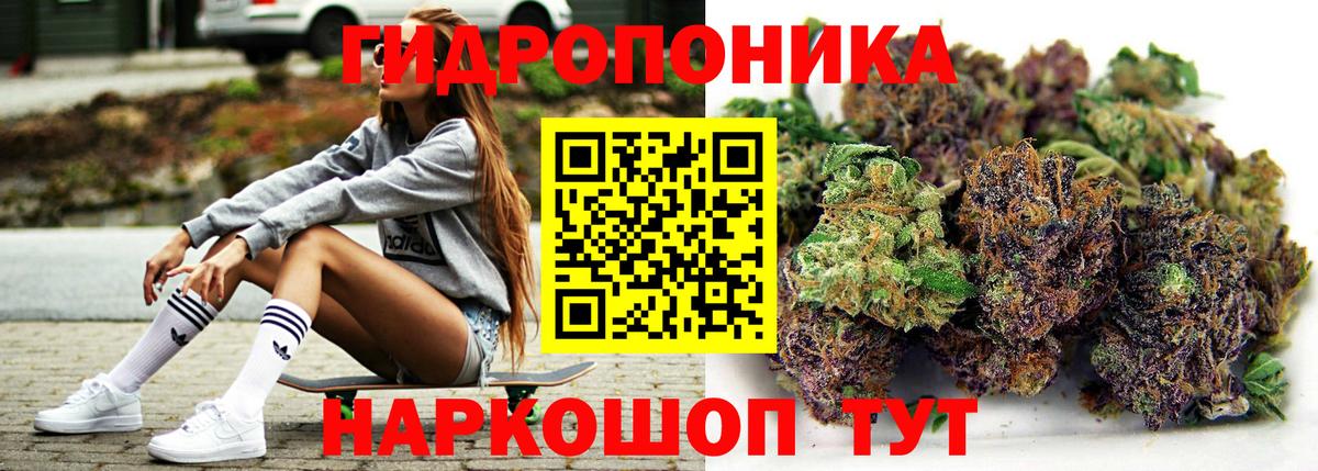 Бошки марихуана Ganja Усть-Джегута
